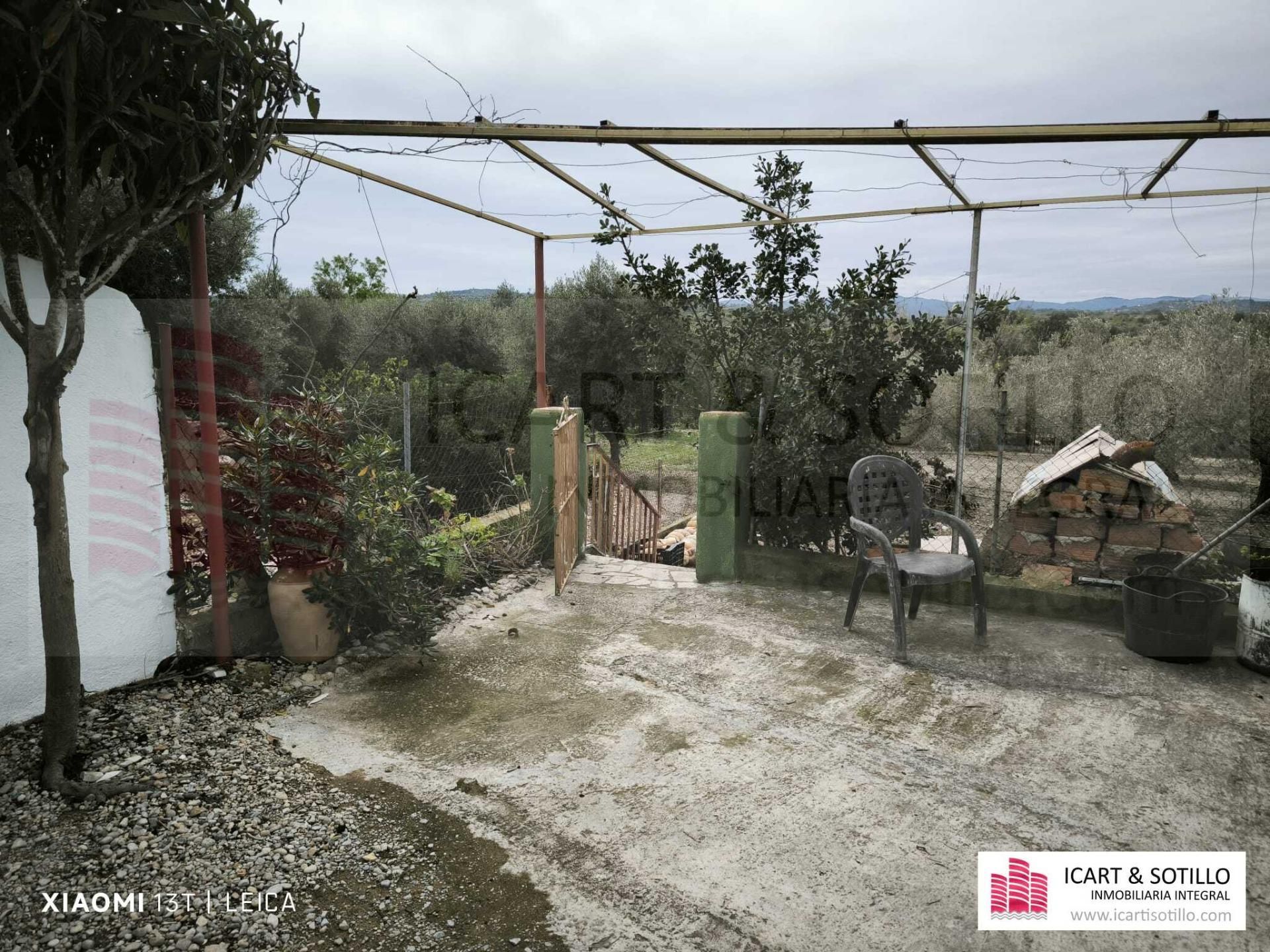 Jardín de Finca rústica en venta en Benicarló con Piscina