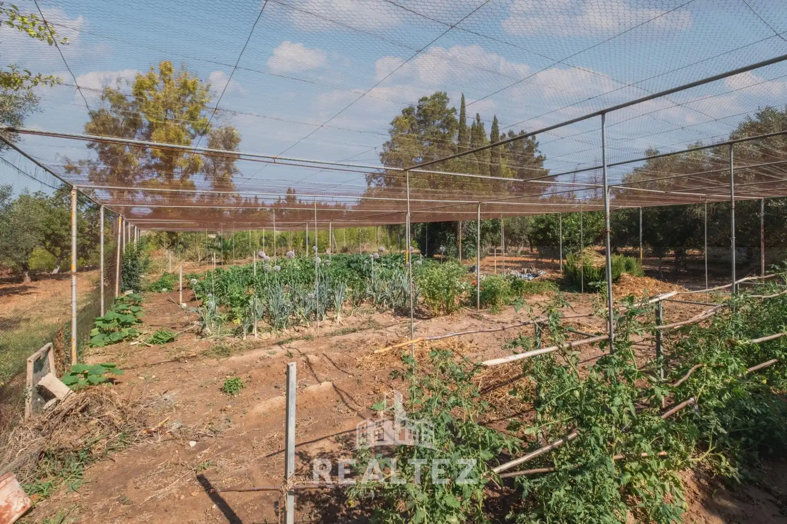 Casa amb jardí en venda a El Retiro - Parque Atlántico - Ronda este, imagen 28