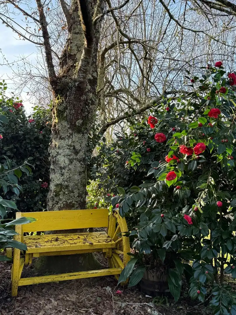 Jardín de Finca rústica en venta en Monfero con Calefacción, Jardín privado y Amueblado