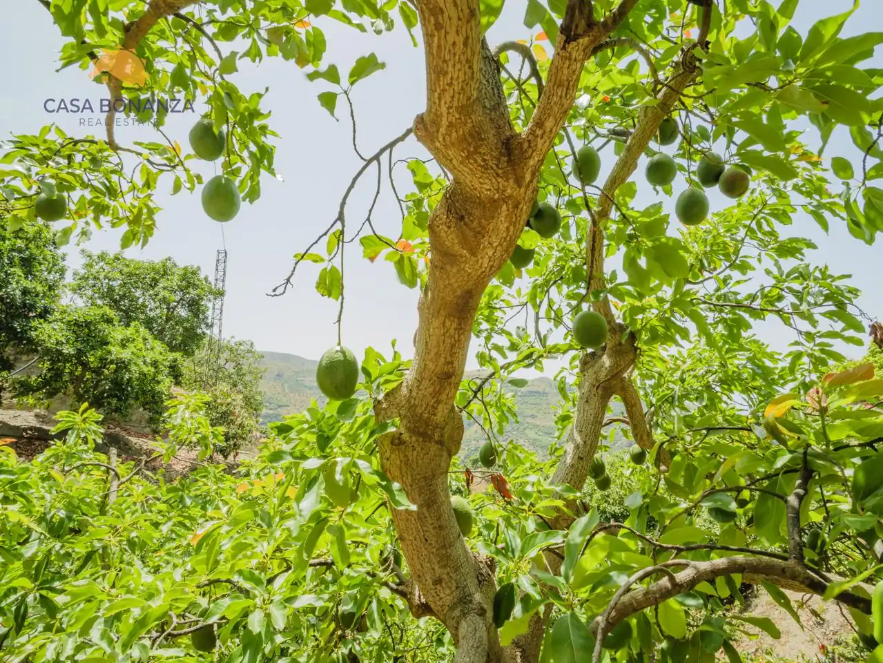 Jardín de Finca rústica en venta en Jete con Aire acondicionado, Jardín privado y Terraza
