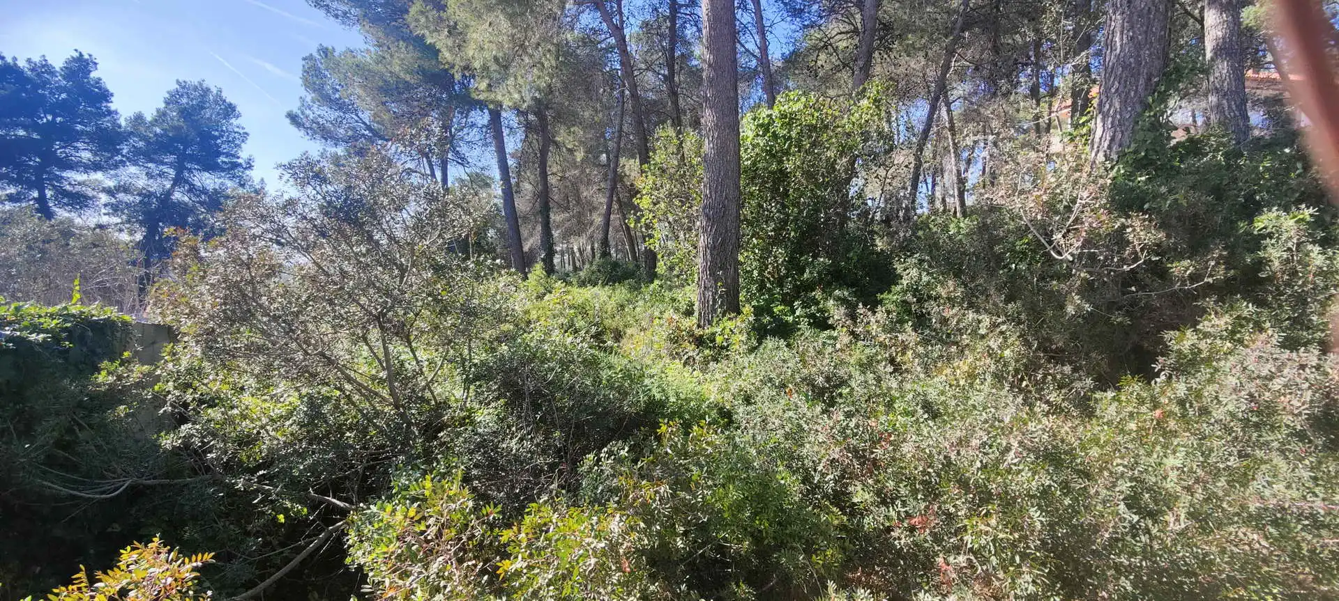 Terreny residencial en venda a Olesa de Bonesvalls, imagen 12