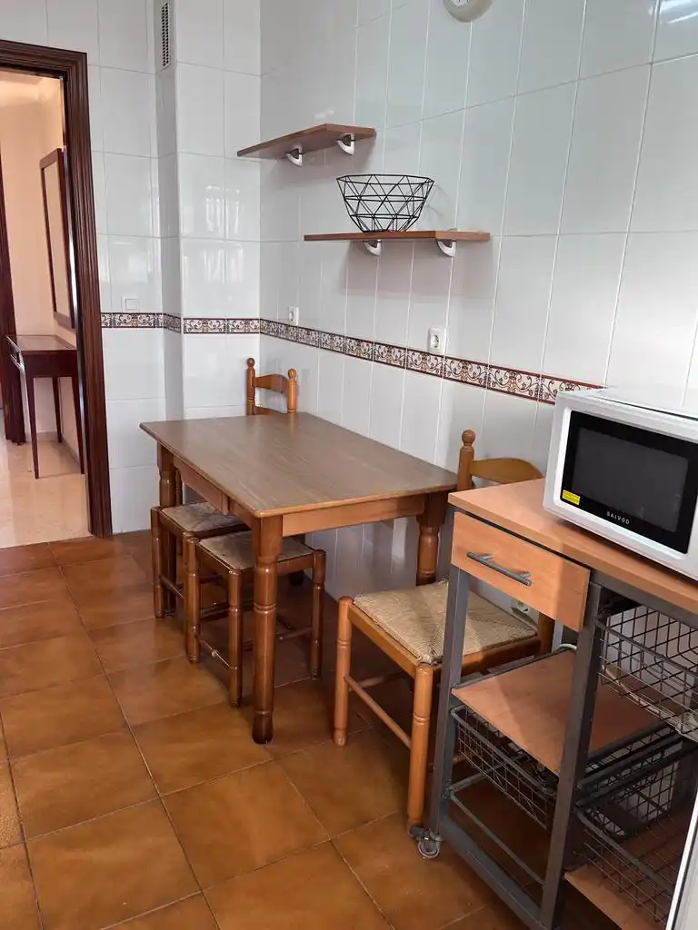 Appartamento con ascensore in affitto a Paseo Maritimo Antonio Machado, imagen 14