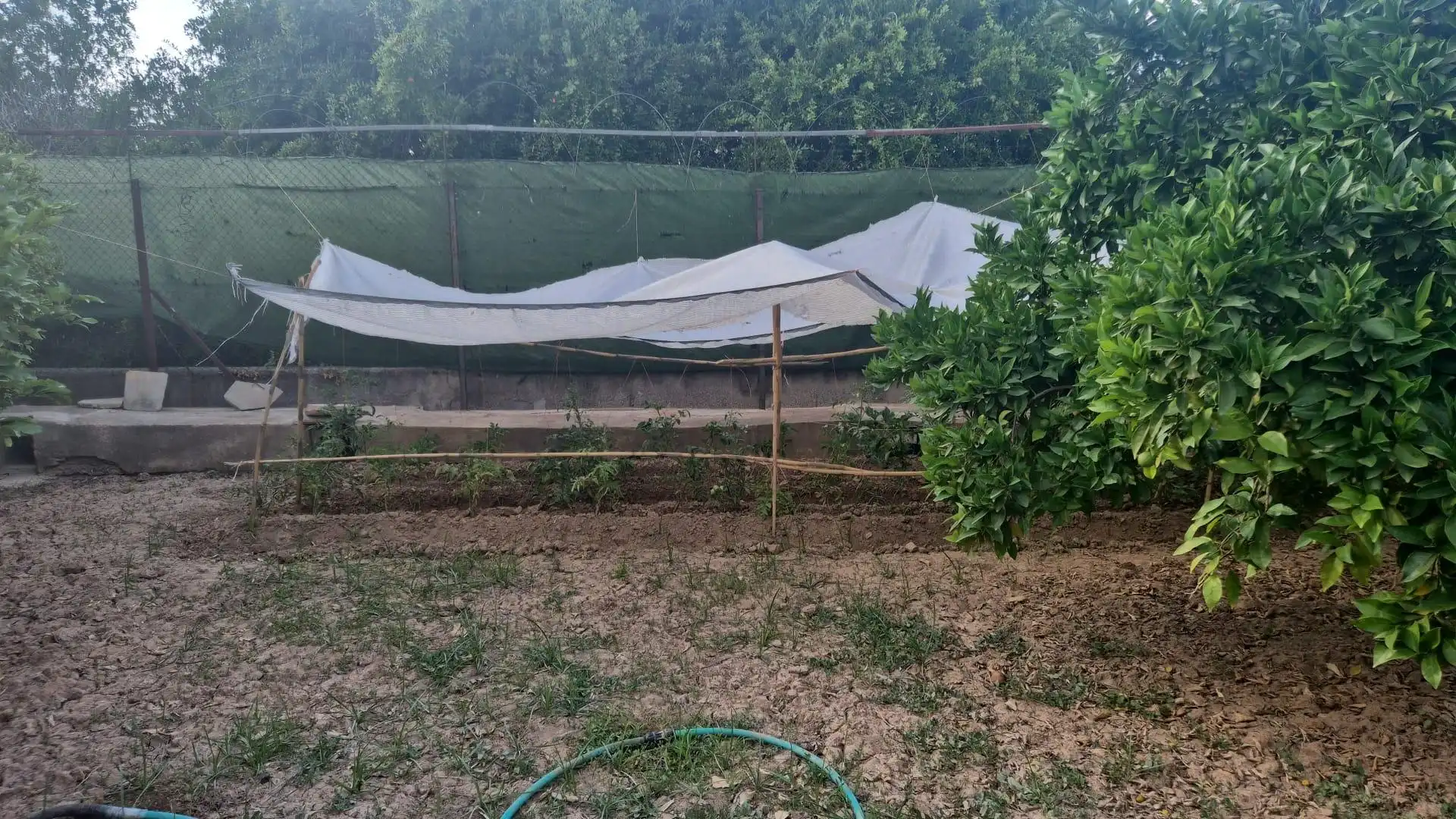 Finca rústica en venta en Murcia con Amueblado