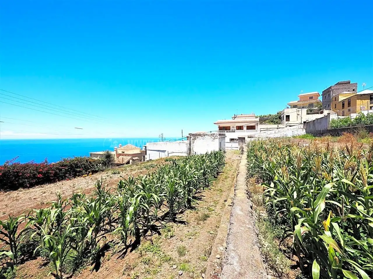 Finca rústica en venta en Icod de los Vinos con Jardín privado