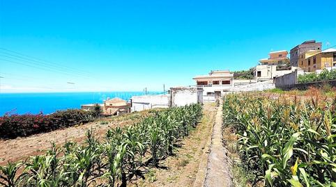Foto 5 de Finca rústica en venda a La Vega - El Amparo - Cueva del Viento, Santa Cruz de Tenerife