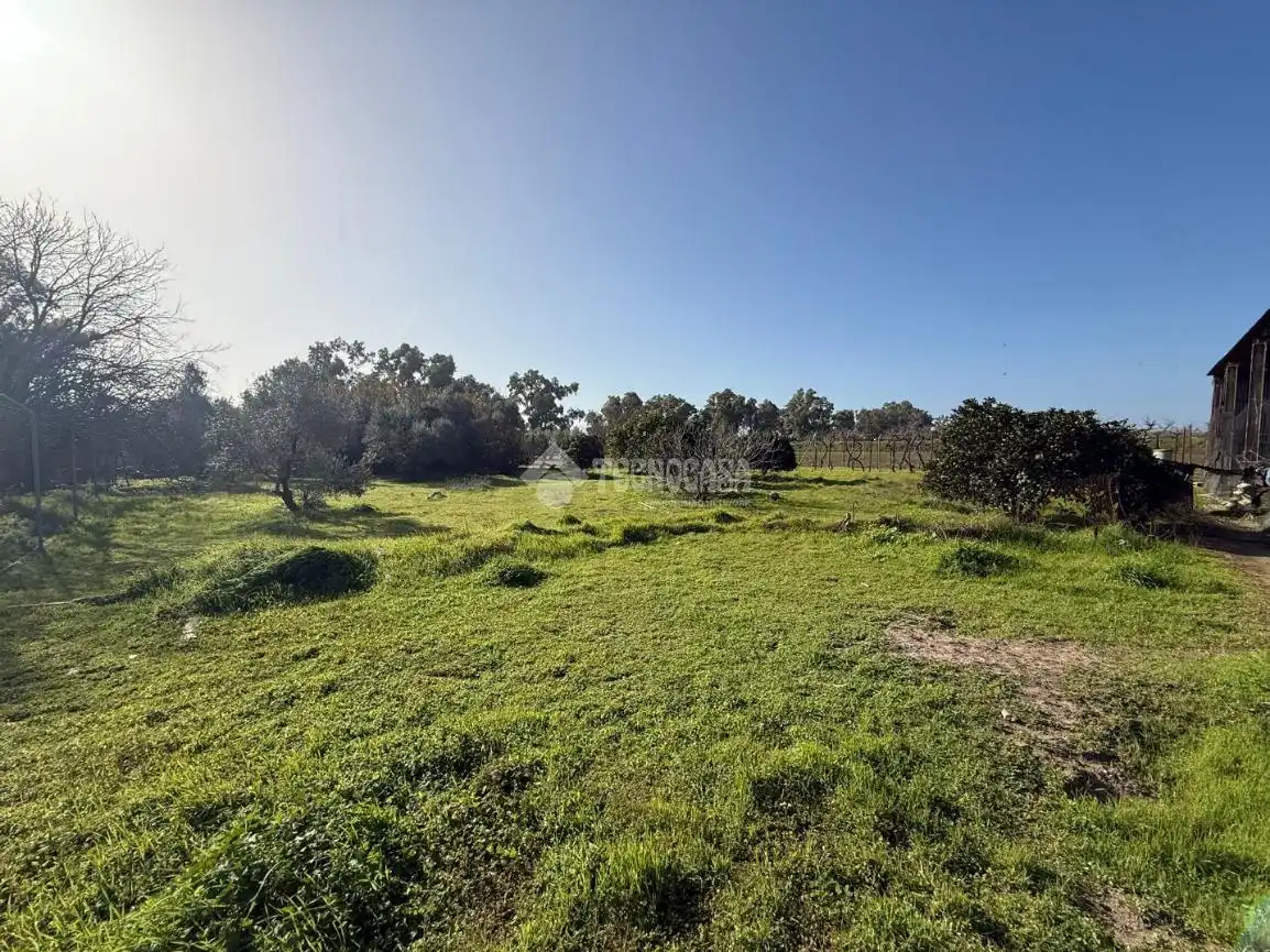 Terreno en venta en Arahal
