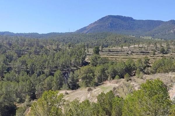 Casa o xalet en venda en Tibi amb Aire condicionat, Jardí privat i Terrassa