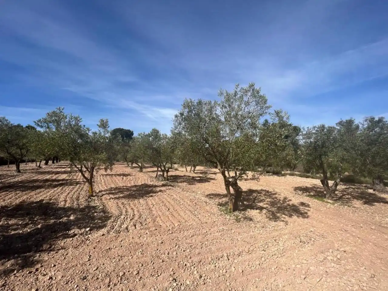 Chalet con jardín en venta en Calle Poligono, imagen 59