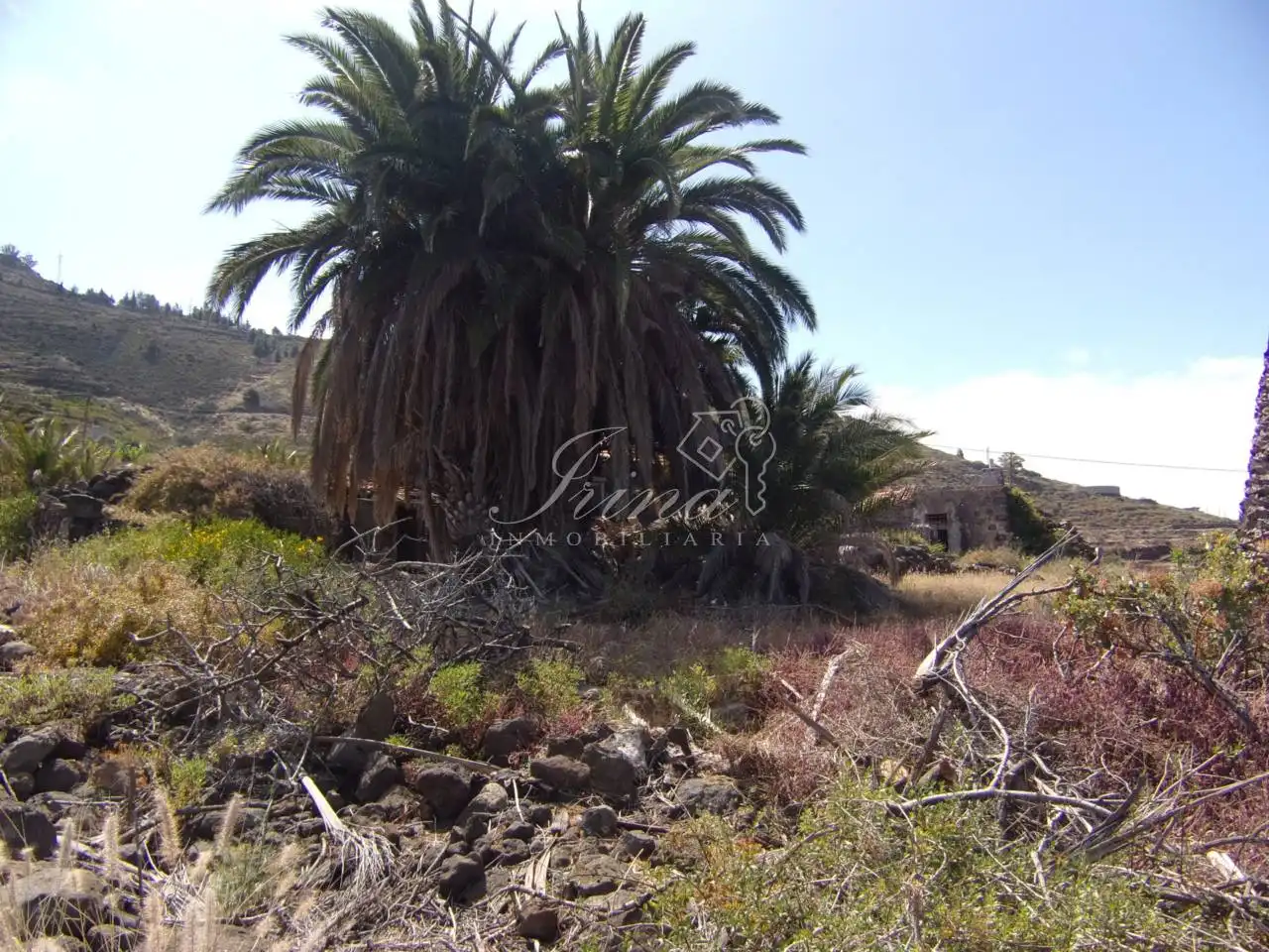 Finca rústica en venta en Tijarafe