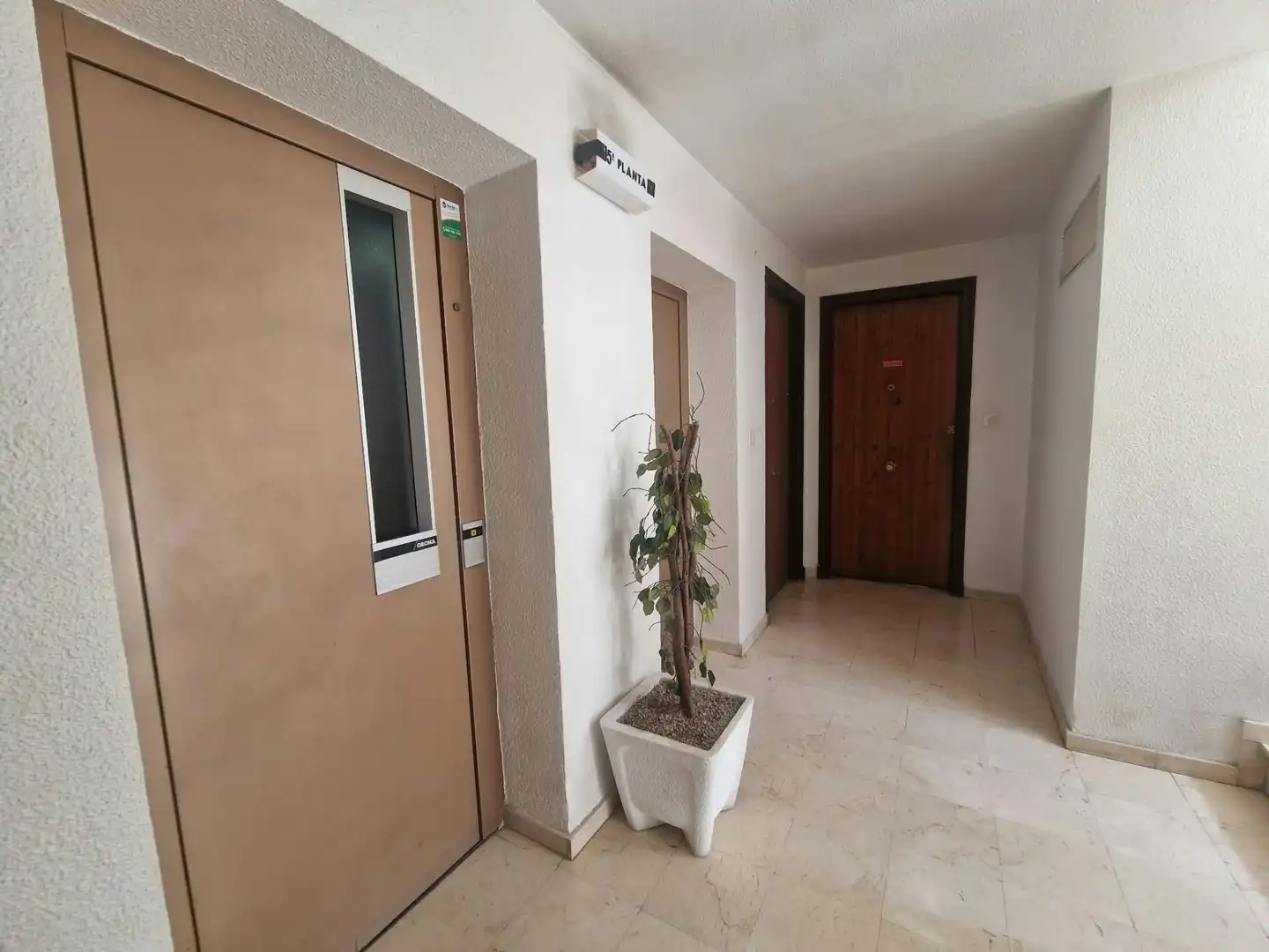 Appartamento con ascensore in vendita a Elche ciudad, imagen 15