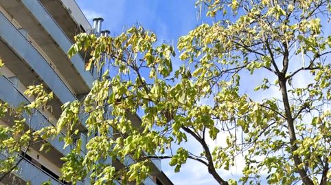 Foto 5 de Garaje en venta en Avinguda de Fontanet, La Bordeta, Lleida Capital
