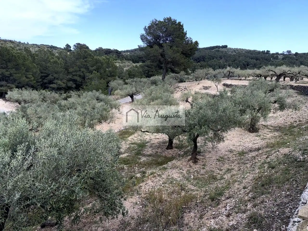 Country homes for sale in Tortosa