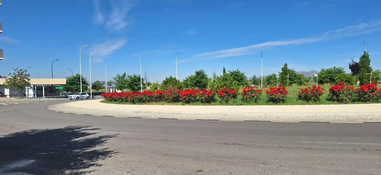 Commercial properties for rent in Granada