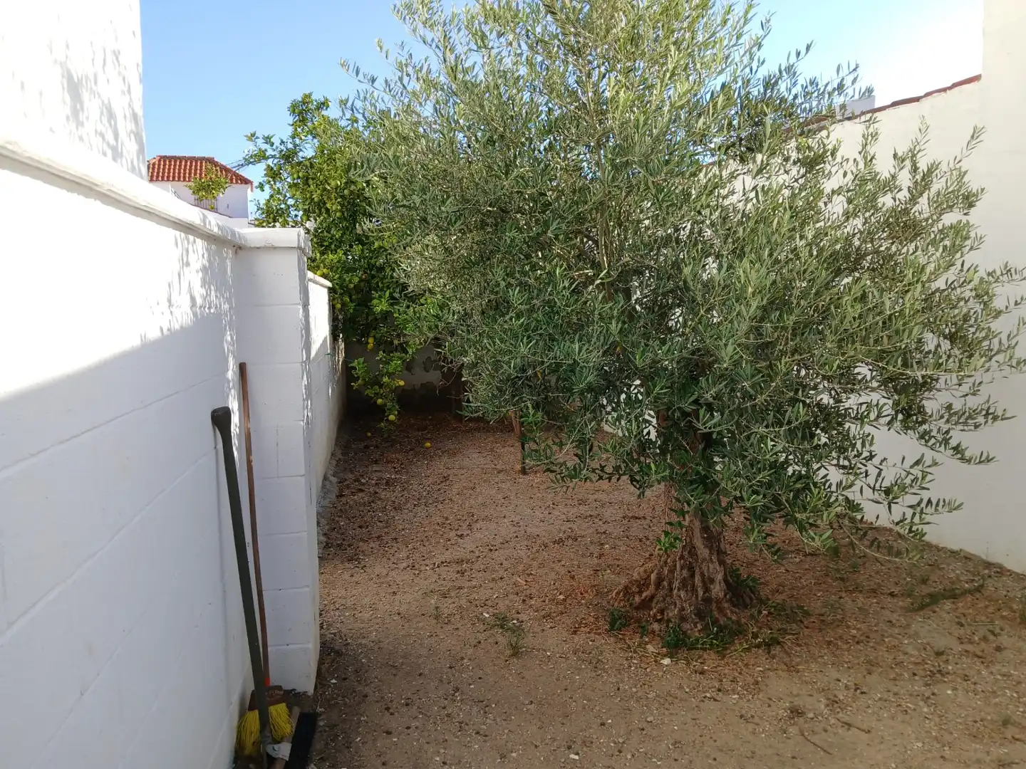 Maison avec terrasse à vendre à La Casería - San Carlos, imagen 43