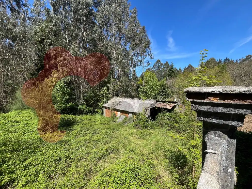 Vista exterior de Casa o xalet en venda en Lugo