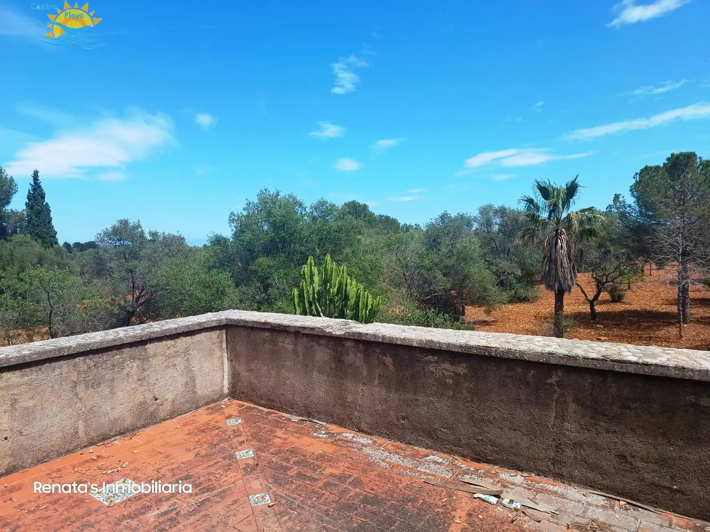 Finca rústica en venta en PEÑISCOLA, Las Atalayas - Urmi - Cerro de Mar