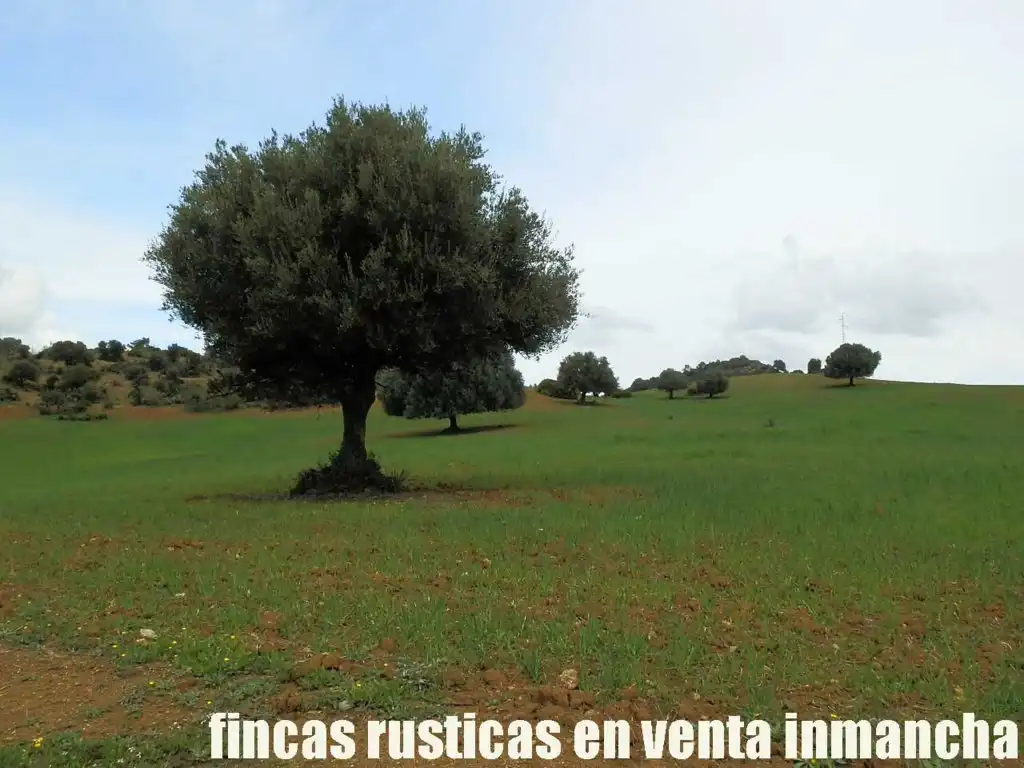 Terreno rustico in vendita a Algodonales, imagen 18