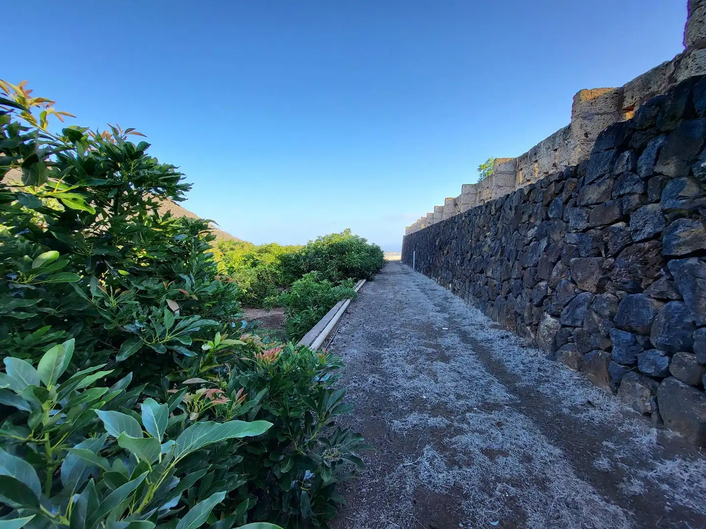 Vista exterior de Finca rústica en venta en Tegueste con Terraza, Trastero y Piscina