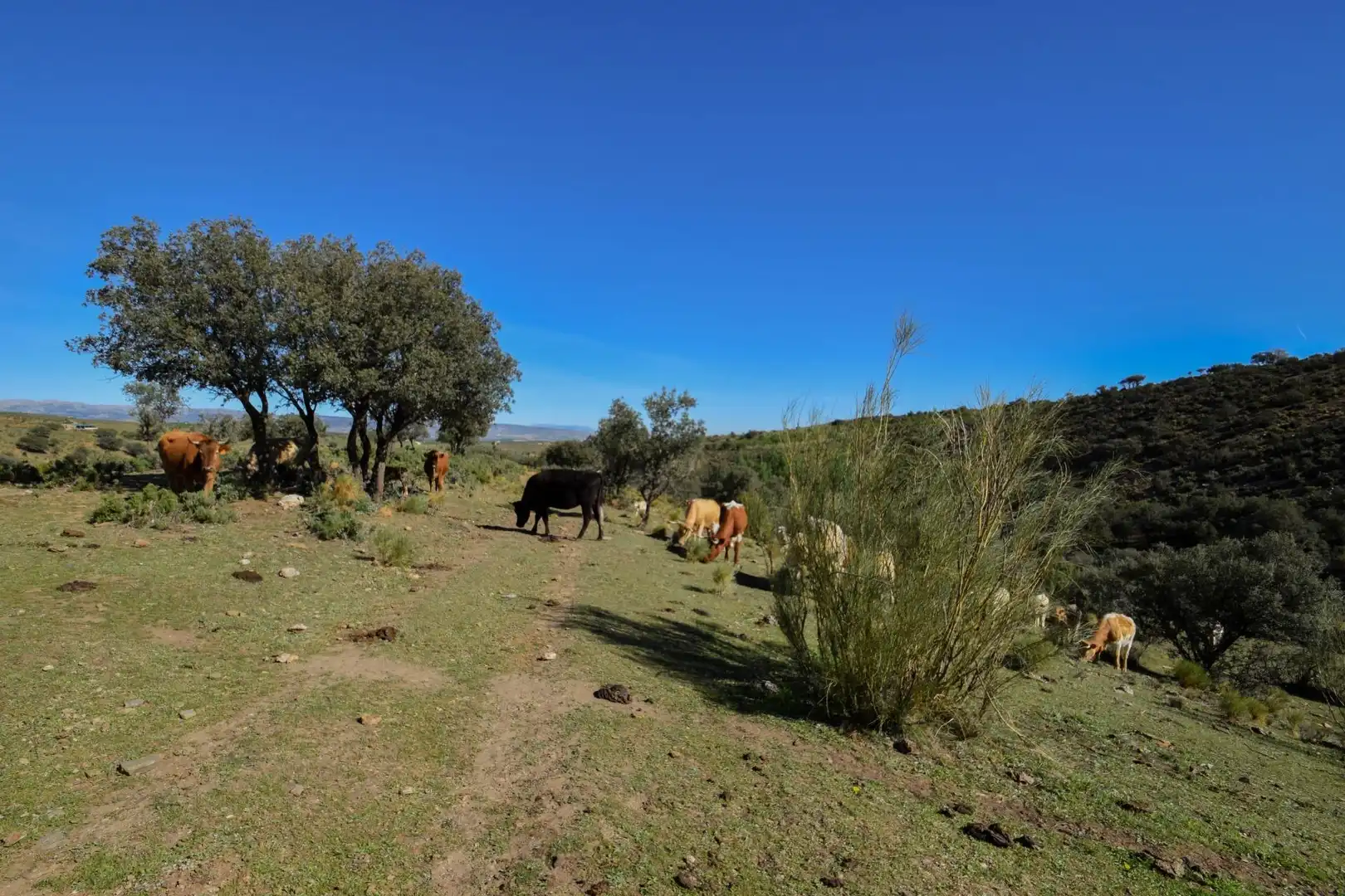 Terreno en venta en Paraje de las Perdices, Lugros