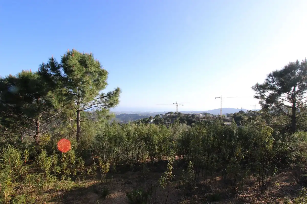 Terrenys i solars en venda a Montemayor - Marbella Club, imagen 22