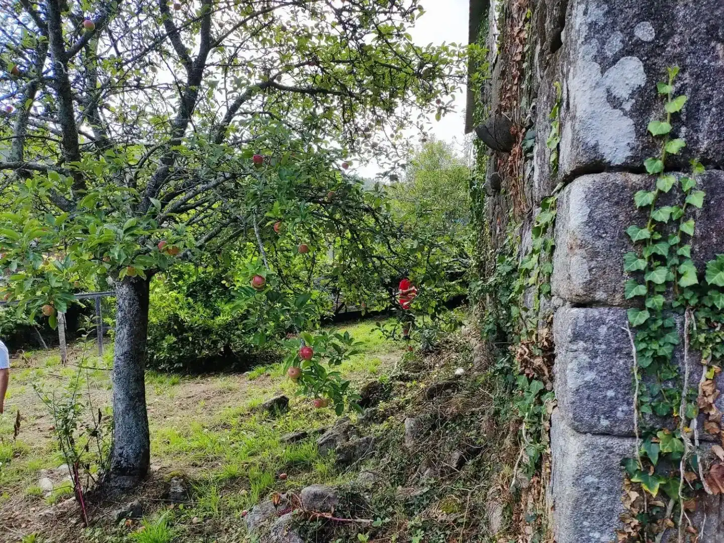 Jardí de Casa o xalet en venda en Dodro