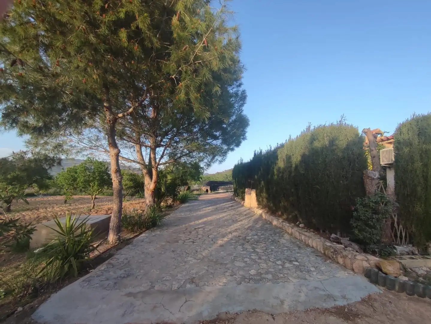Villa con giardino in vendita a El Pinós / Pinoso, imagen 38