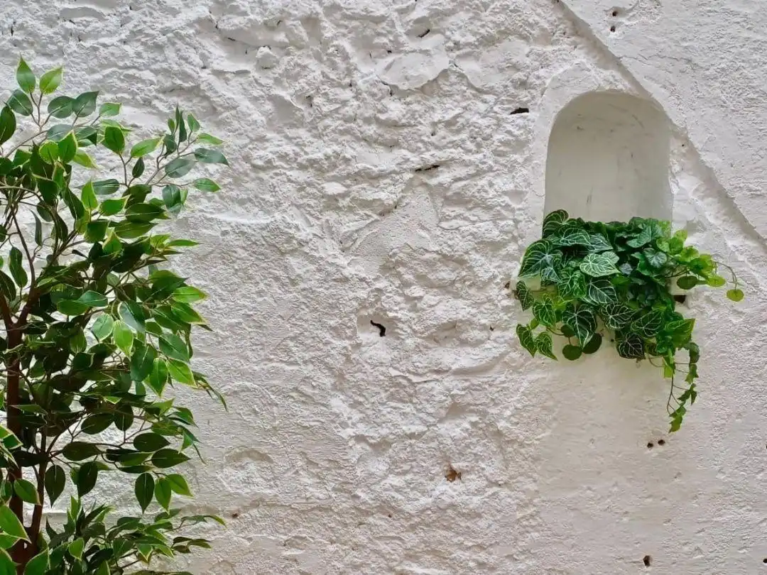 Vista exterior de Planta baixa en venda en Almussafes amb Terrassa i Moblat
