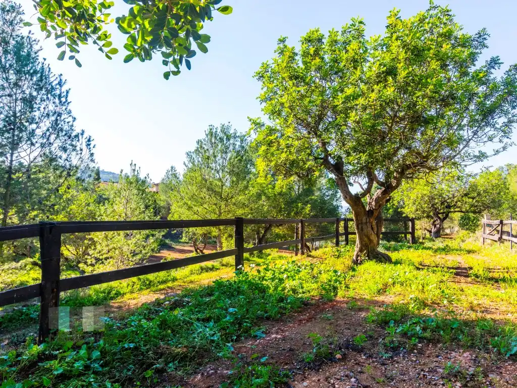 Commercial properties for sale in Calle Pedrapiquers (Dels), Borriol