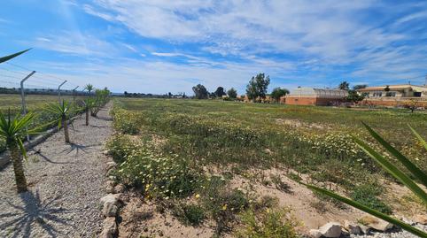 Foto 4 de Casa o chalet en venta en Valverde, Elche / Elx