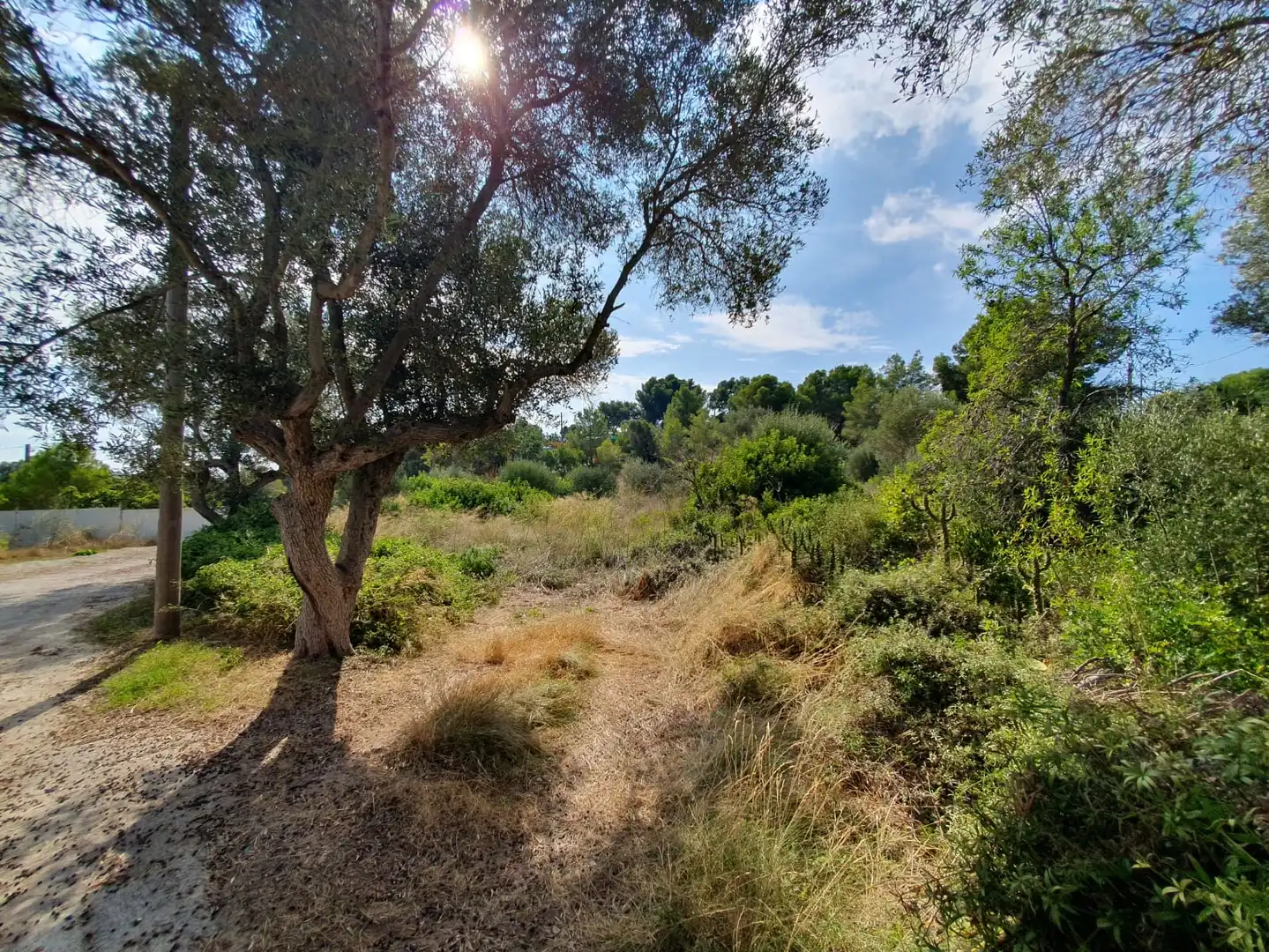 Terrain rustique à vendre à Carrer Riu Francolí 44, imagen 10