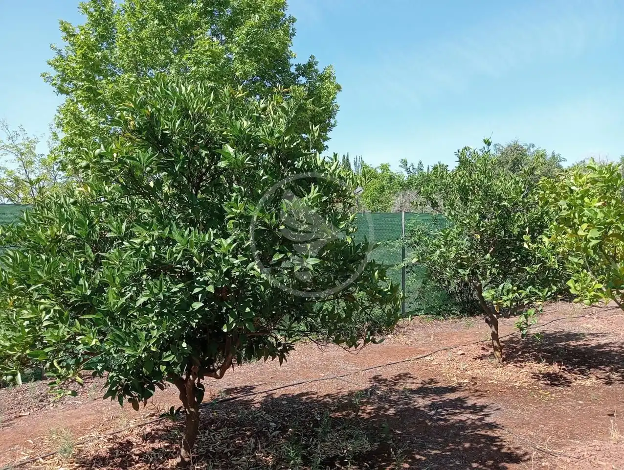 Country house zum Verkauf in Linares mit Privatgarten, Terrasse und Schwimmbad