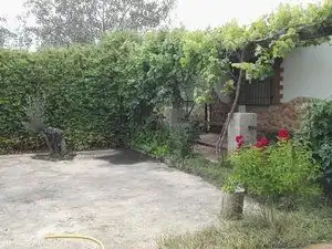 Jardín de Terreno en venta en Piedrabuena