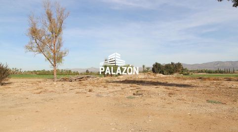 Finca rústica en venta para recreo en Catral Alicante, imatge 5