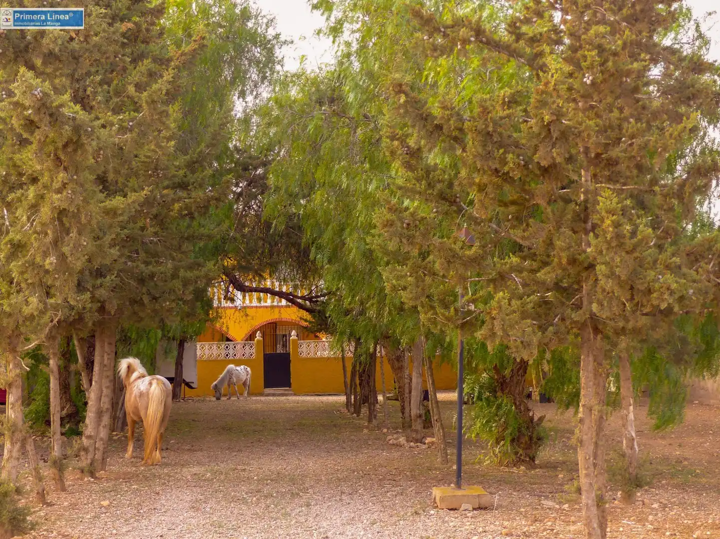 Vista exterior de Finca rústica en venda en Fuente Álamo de Murcia amb Calefacció, Jardí privat i Terrassa