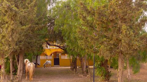 Foto 5 de Finca rústica en venta en La Pinilla - Las Palas, Murcia