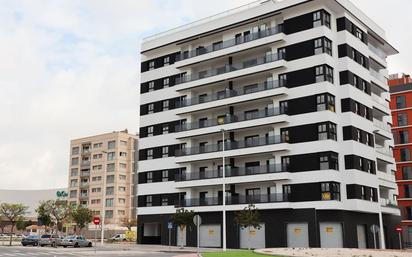 Vista exterior de Pis en venda en Elche / Elx amb Aire condicionat, Terrassa i Piscina