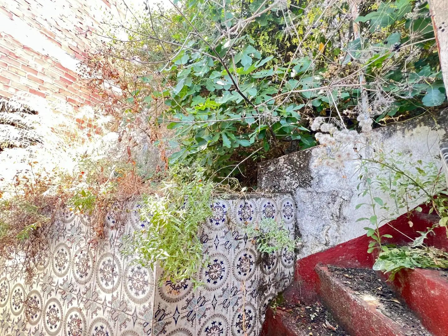 Jardí de Casa o xalet en venda en Ubrique amb Traster i Balcó