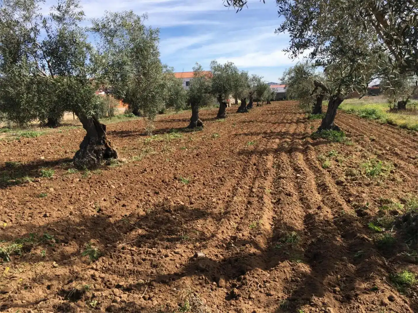 Residential for sale in La Garrovilla , Badajoz