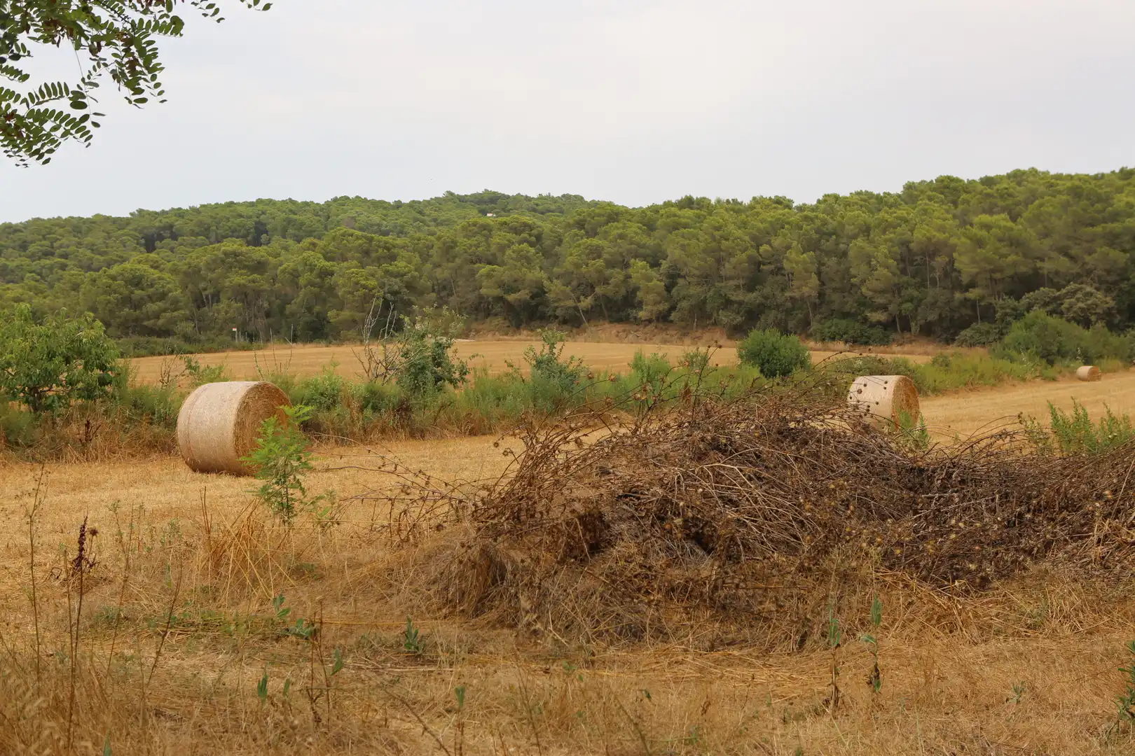Finca rústica en venda en Begur amb Jardí privat