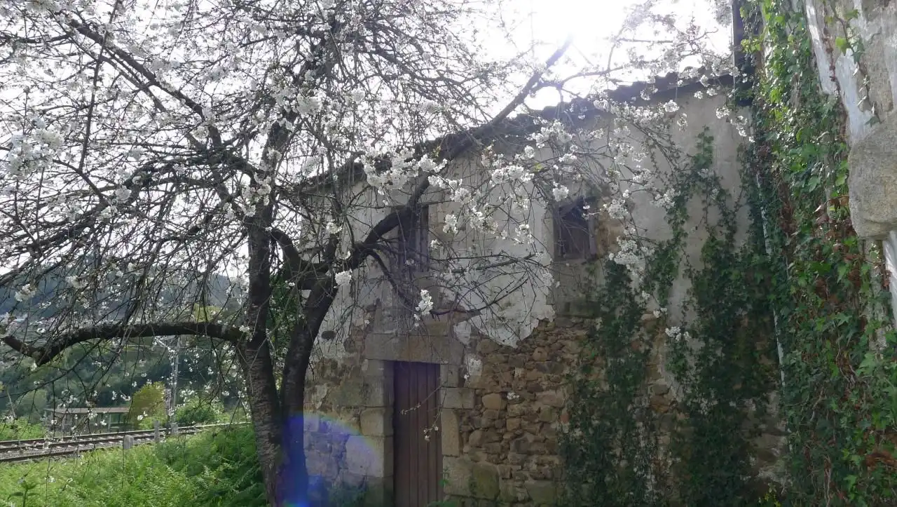 House for sale in Ribadavia, imagen 4