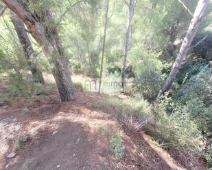 Residential for sale in Santa Susanna