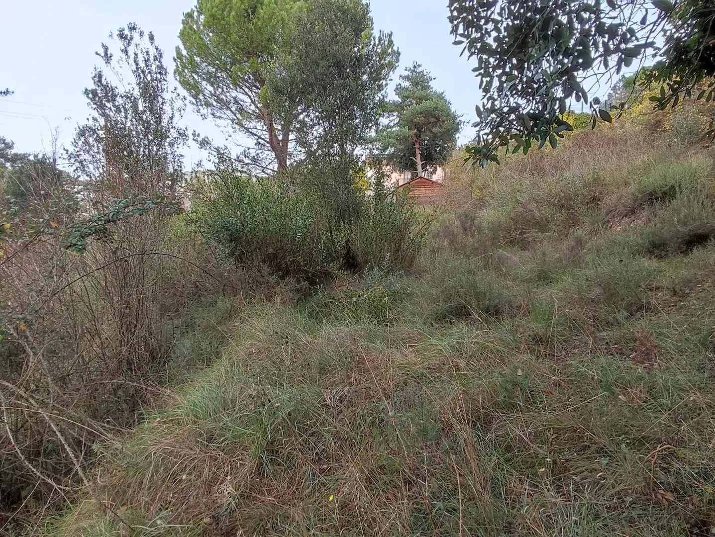 Terrain rustique à vendre à Monistrol de Calders, imagen 40