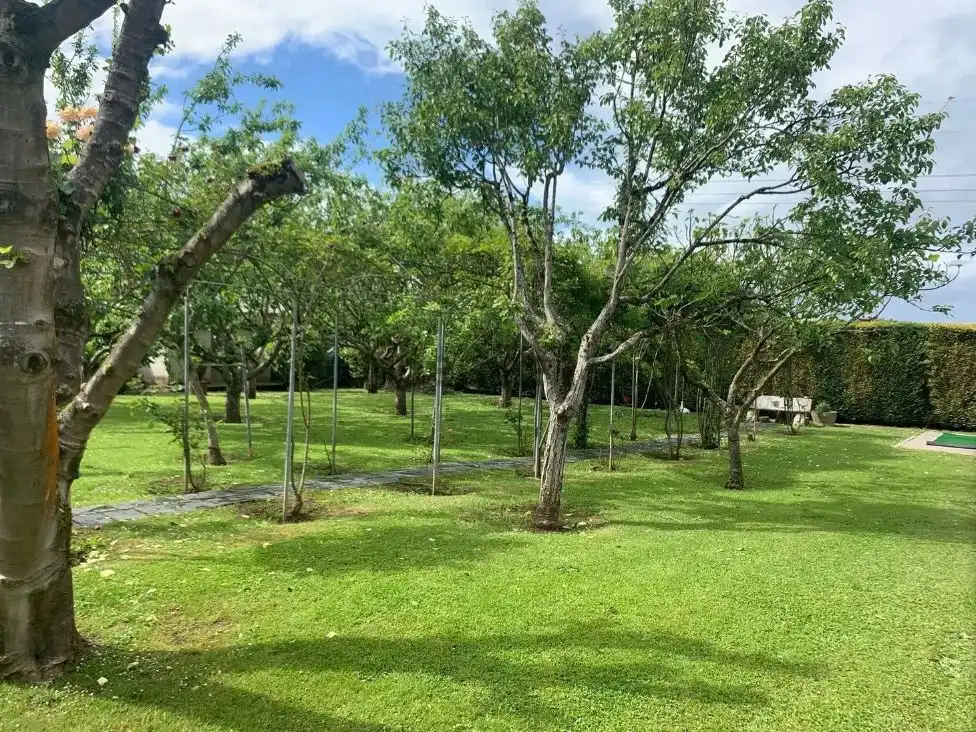 Villa con giardino in vendita a Camino del Cristo 600, imagen 9