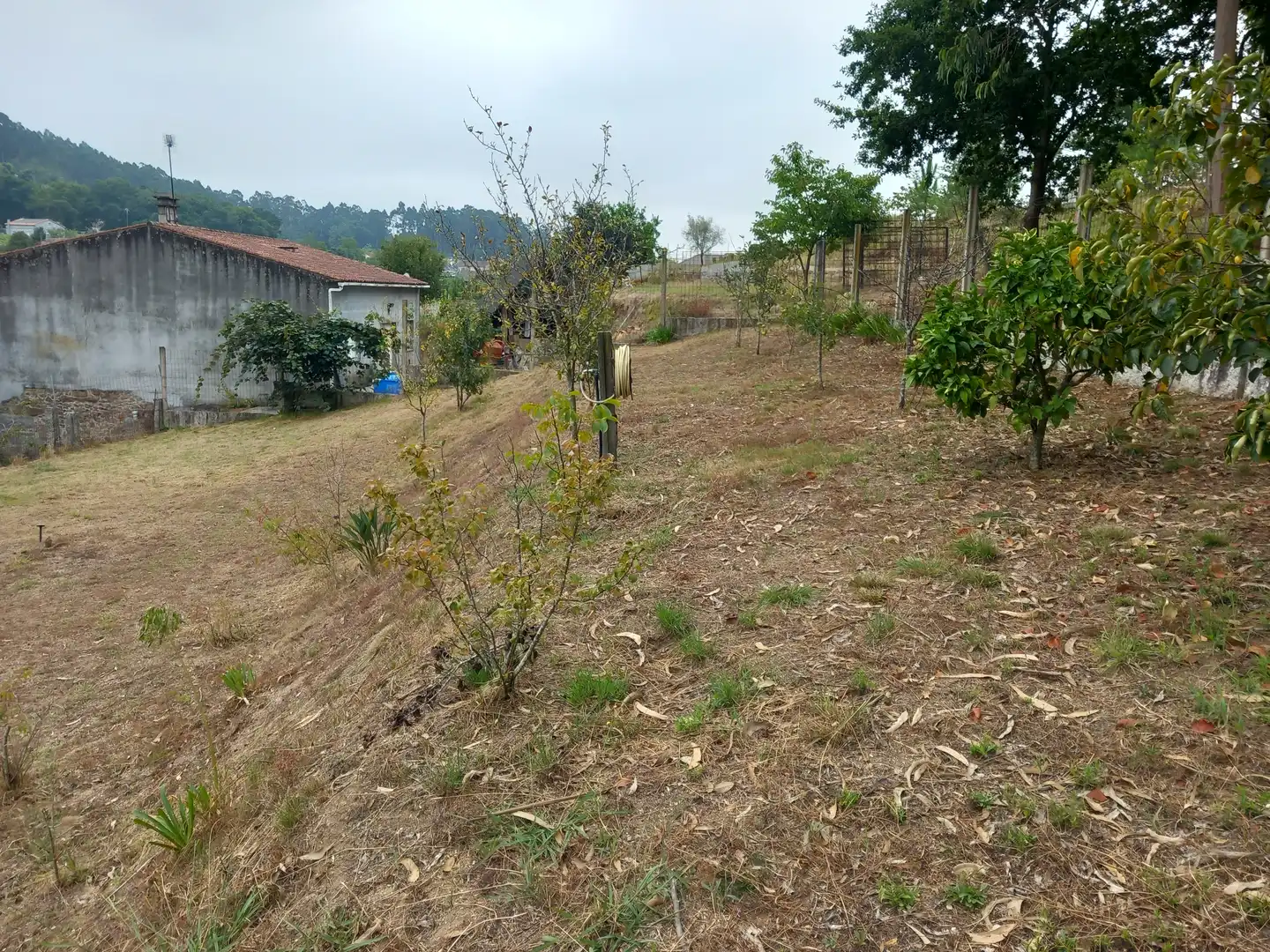Casa o chalet en venta en Meis