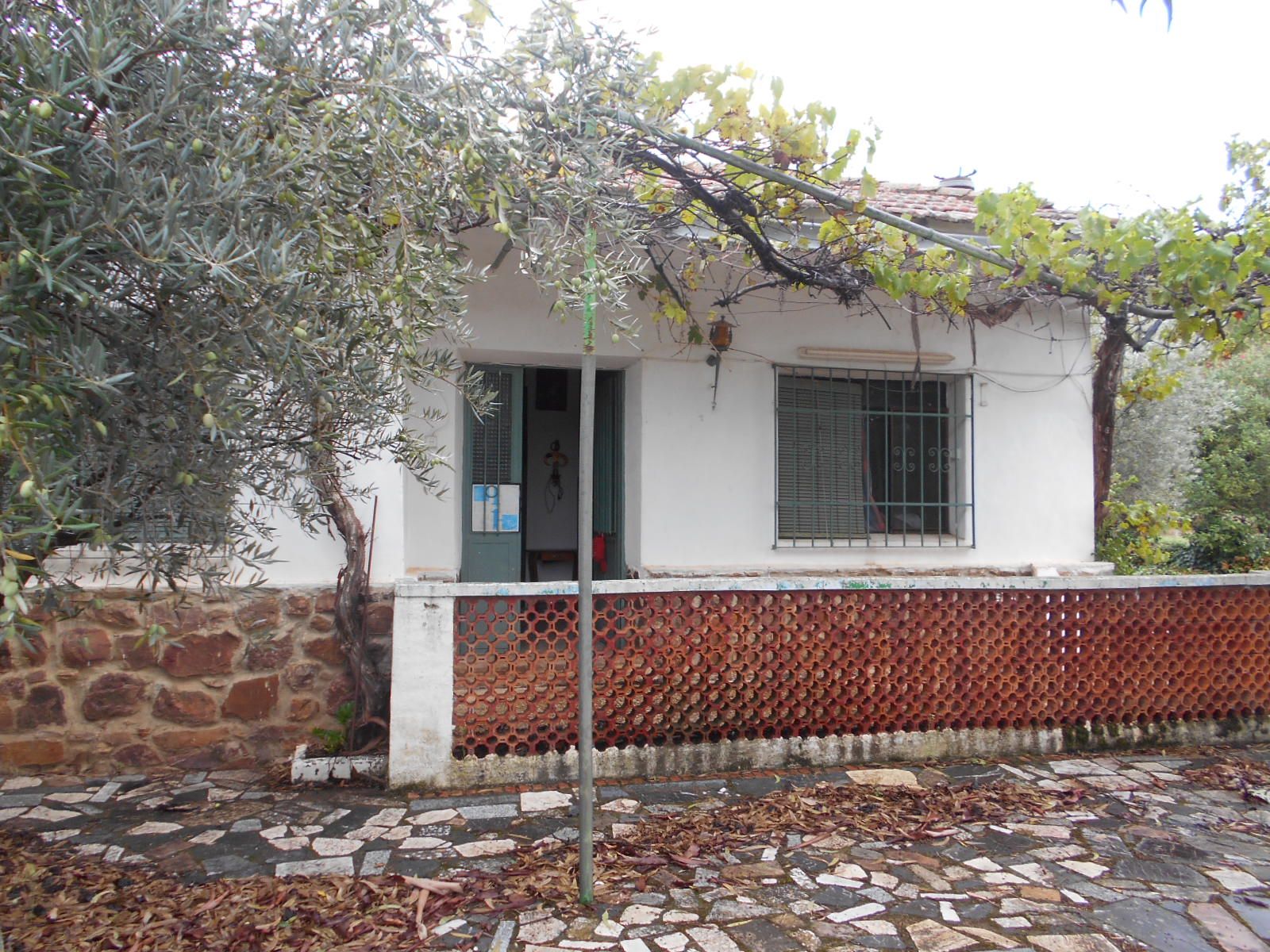 Exterior view of House or chalet for sale in Piedrabuena  with Storage room