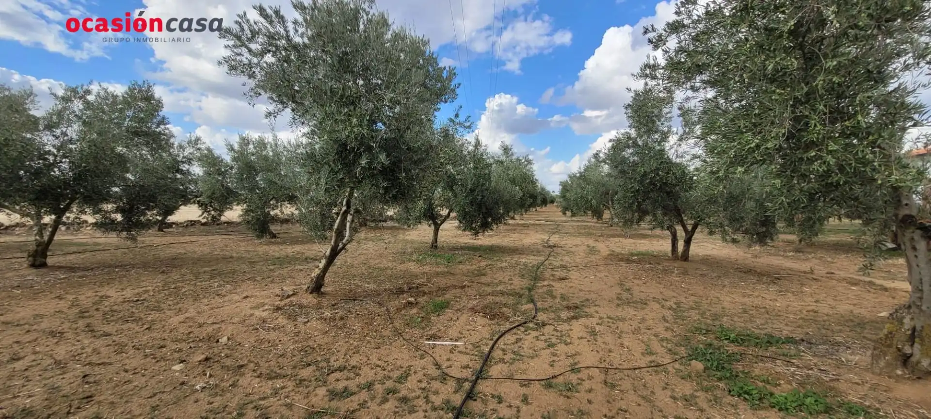 Casa rústica en venta en Alcaracejos, imagen 11