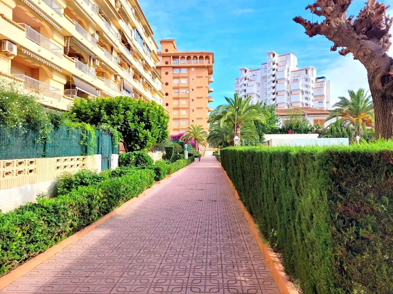 Apartamento de alquiler en De Castella-Lleó, 13, Playa de Gandia