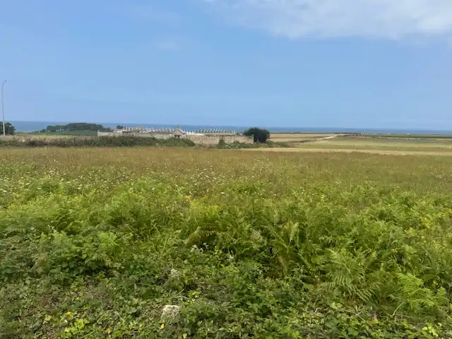 Residential zum Verkauf in Ribadeo