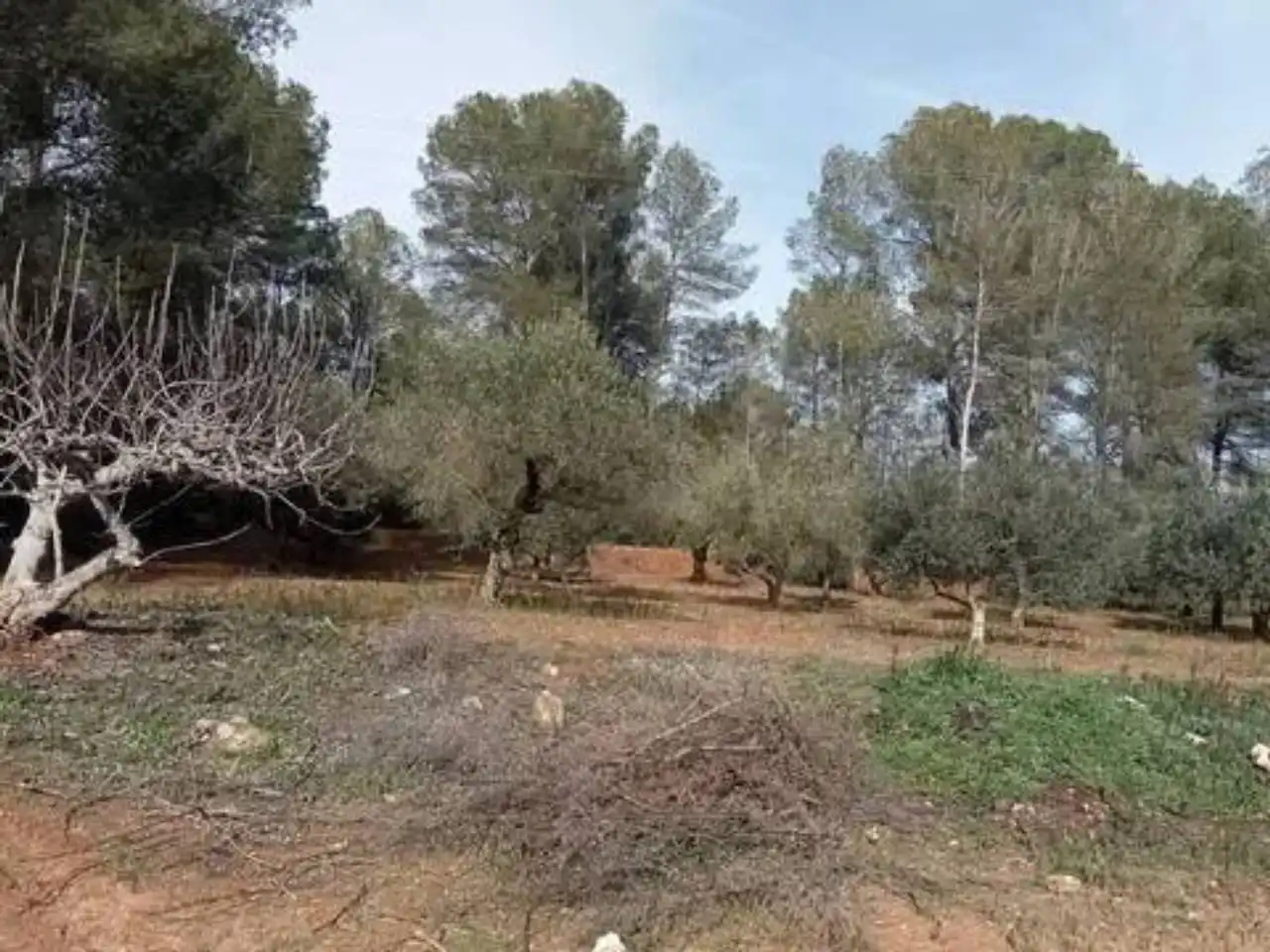 Terreno en venta en Guadasséquies