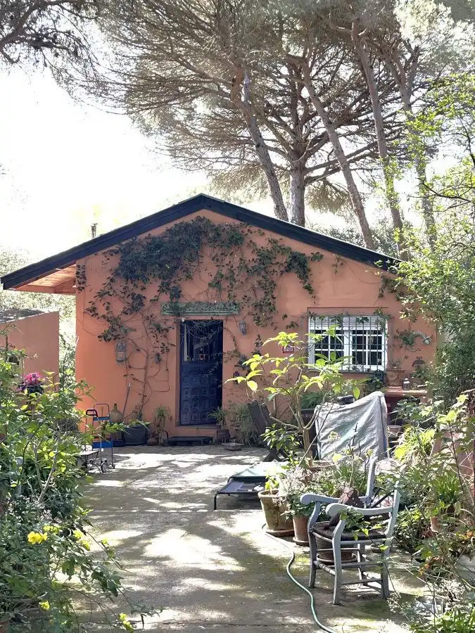 Vista exterior de Casa o xalet en venda en San Roque amb Calefacció, Jardí privat i Traster